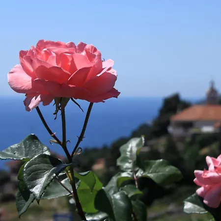 Sveta Nedilja 8792a Apartamento Sveta Nedelja (Hvar)