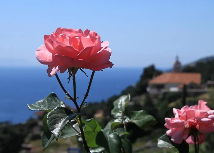 Sveta Nedilja 8792a Apartamento Sveta Nedelja (Hvar)